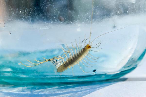 十分钟了解命局分析,揭开你生命的神秘面纱! 十分钟了解命局分析,揭开你生命的神秘面纱!