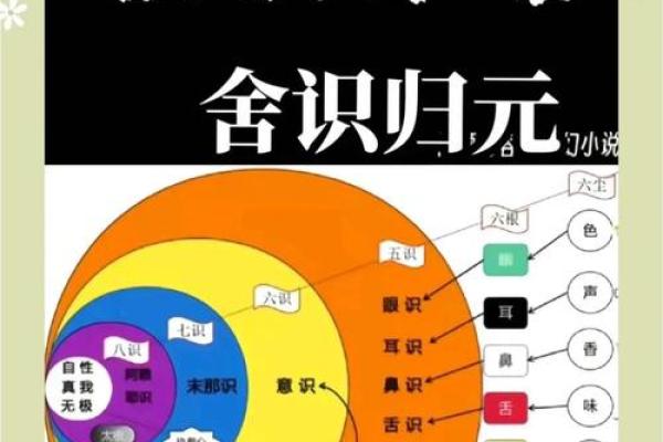 揭示乙酉辛巳戊午丙辰命理的奥秘，走进命运的深处！