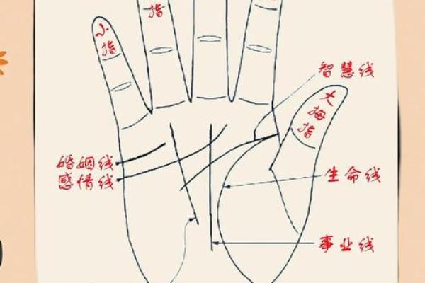 手相揭秘：掌中命运的奥秘与人生的指引
