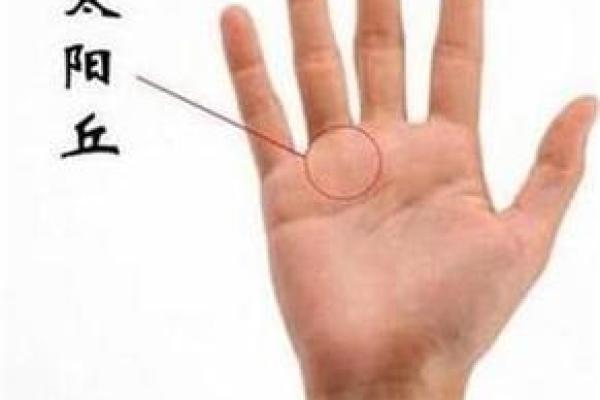 手上没有斗的命:解读命运与选择的奥秘 手上没有斗的命:解读命运与选择的奥秘