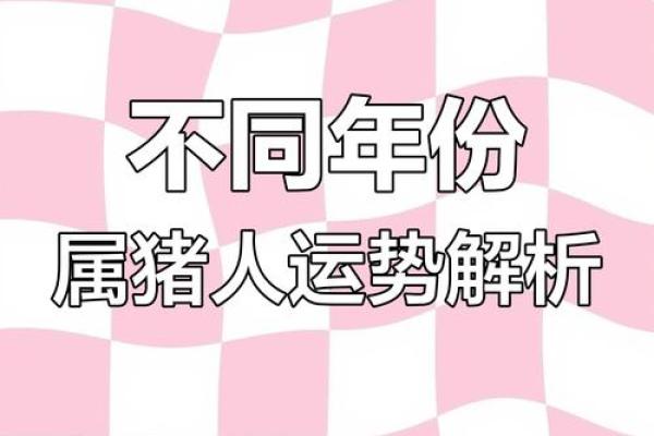 属猪80后婚姻命运解析：幸福与挑战并存的生活旅程