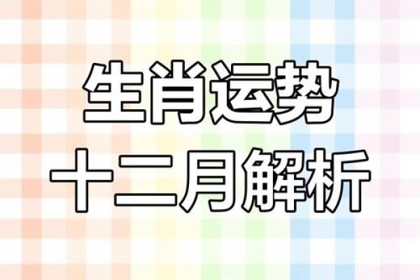 揭秘属马者:11月出生的命运密码与命理解析 揭秘属马者:11月出生的命运密码与命理解析