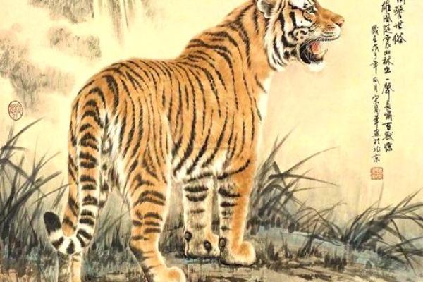 揭秘七六年老虎的命运与性格——生于风云,命运如虎! 揭秘七六年老虎的命运与性格——生于风云,命运如虎!