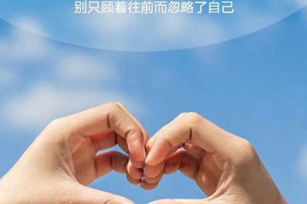 桑松木命与哦什么命的妙趣人生探索 桑松木命与哦什么命的妙趣人生探索