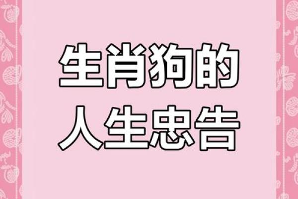 牛年五月十九:探索命格秘密与人生启示 牛年五月十九:探索命格秘密与人生启示