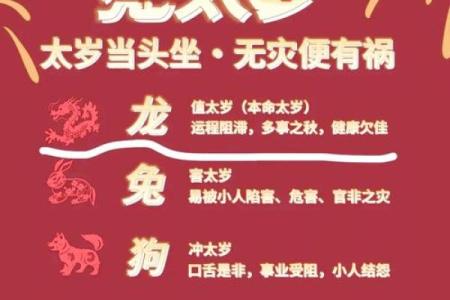 属龙的孩子在2023年十岁，命运的秘密与成长之路