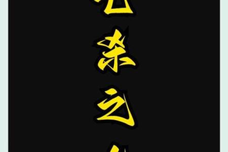 解密七杀格女命：智慧与挑战并存的命格之旅