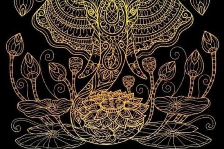 木命与水命的完美搭配：命理中的和谐之道