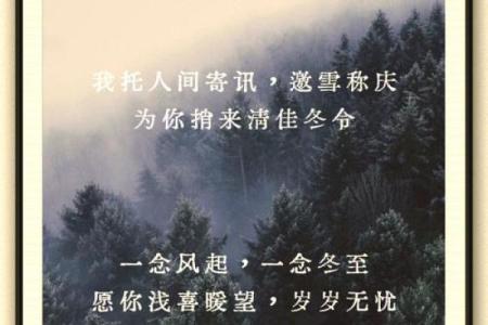 冬至签思：探索命运与内心的深层联系