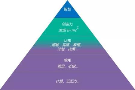 属兔1988：命运之旅与生命的智慧