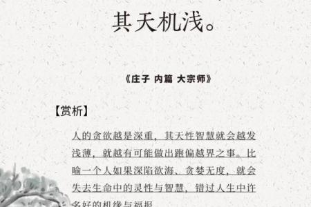 三斤九两的命运，揭示你的命理奥秘与人生智慧