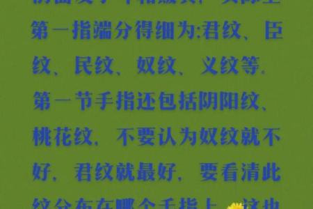 手指纹解读：十种命运的指引与启示
