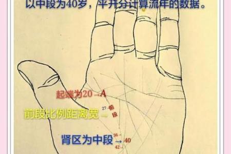 手相揭秘：掌中命运的奥秘与人生的指引