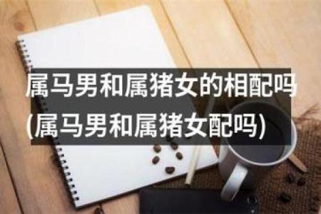 属猪80后婚姻命运解析：幸福与挑战并存的生活旅程