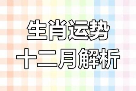 揭秘属马者：11月出生的命运密码与命理解析