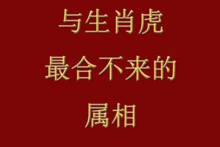 虎年属羊人：好运与挑战并存，如何扬长避短？