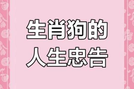 牛年五月十九：探索命格秘密与人生启示