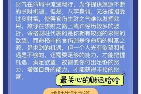 傻子命的八字特征：如何识别与改变命运的秘密