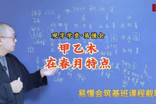 木命:探究我与这个命理称谓之间的深厚联系 木命:探究我与这个命理称谓之间的深厚联系