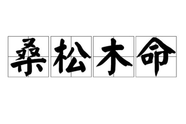 桑松木命：探索其命格特征与生活指引