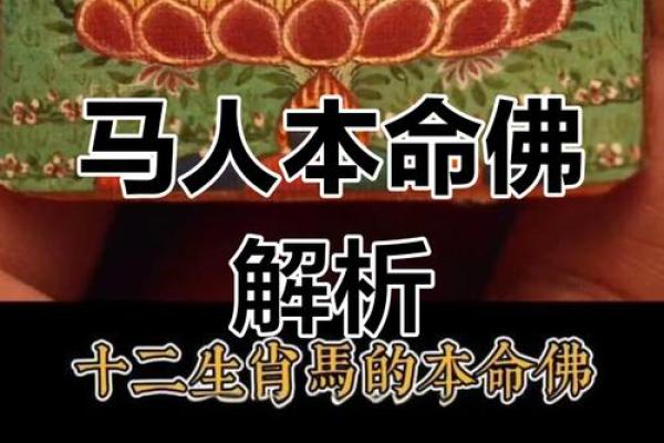 属马之人：上等命的象征与生活智慧