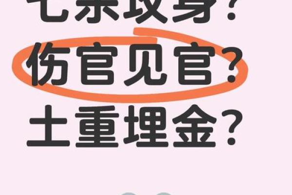 揭示八字中的野心命格：如何解读与运用！