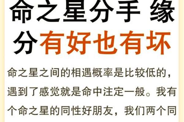 上手铐的女人：命运与自由的双重考验