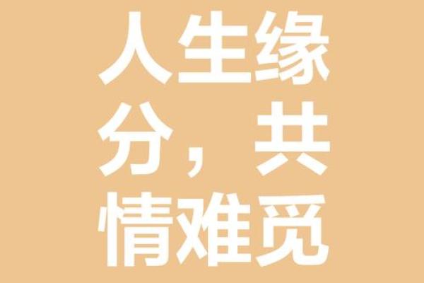 命里有他：缘分的指引与人生的交织