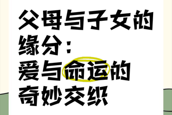 命里有他：缘分的指引与人生的交织