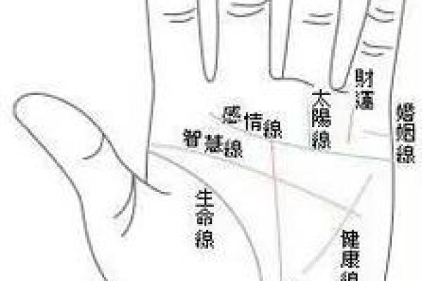手上没有半圆月亮是什么命?揭开掌纹背后的秘密! 手上没有半圆月亮是什么命?揭开掌纹背后的秘密!