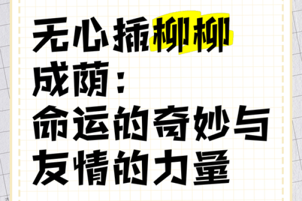 破解青柳命的奥秘：探索命理中的深意与人生启示