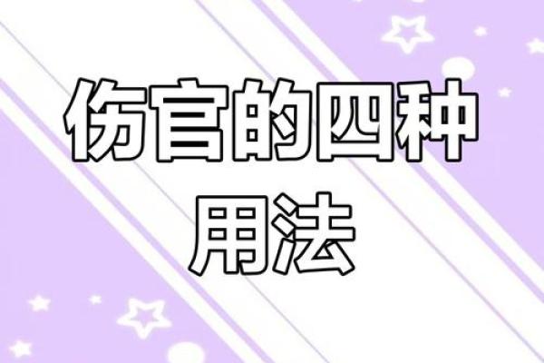 伤官比较重的贵命解读：命理中的潜力与挑战