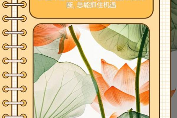 生肖猴：30岁后的命运走向与人生智慧探究