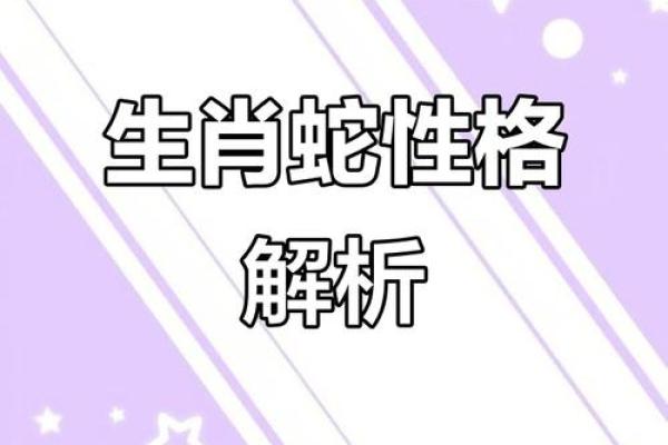 属蛇41岁的命运解析，揭秘人生的无穷奥秘