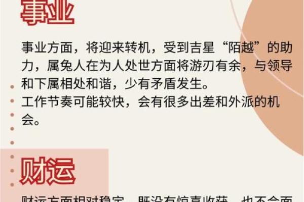 属兔人的五行命理：解密兔年人的命运与运势