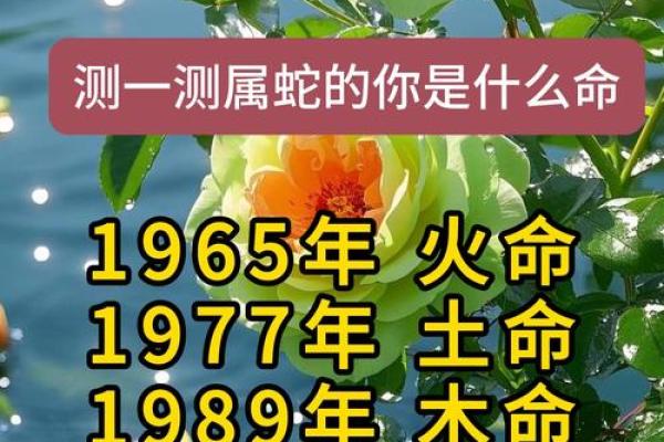 三月二十出生属蛇的命运解析：揭开命理之谜，了解你的未来