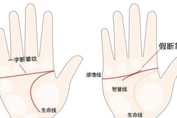 手掌三道纹解析:揭示你的人生命格与性格特点 手掌三道纹解析:揭示你的人生命格与性格特点