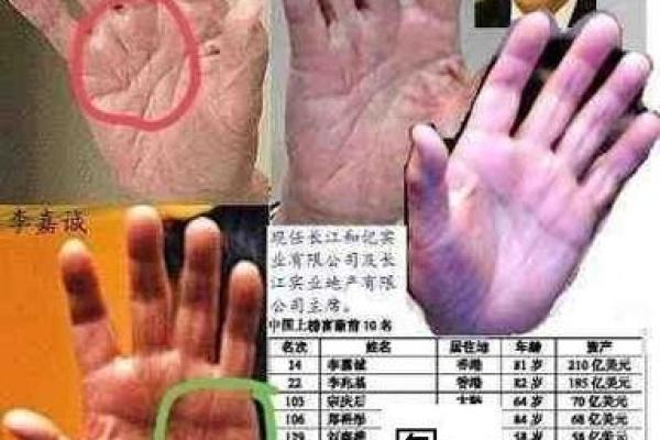 手掌三道纹解析:揭示你的人生命格与性格特点 手掌三道纹解析:揭示你的人生命格与性格特点
