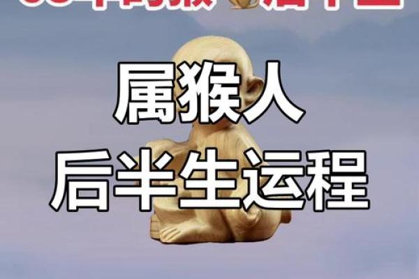属猴人的星座分析与命运解析：智慧与灵活并存的魅力人生