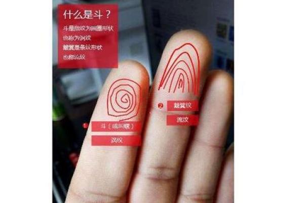 属相与旺夫命的关系探秘，让你找到心中理想伴侣！