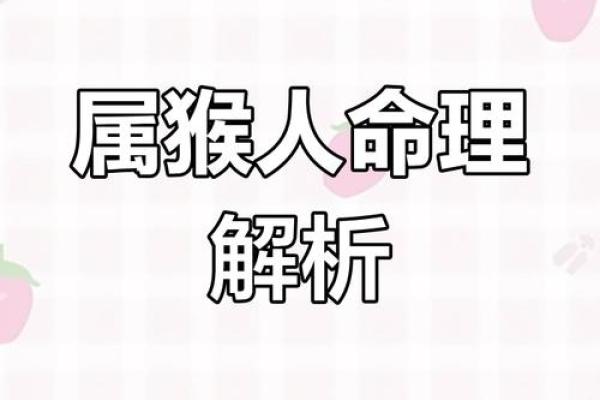 属猴男的命运解析：究竟哪种命格最适合他们？
