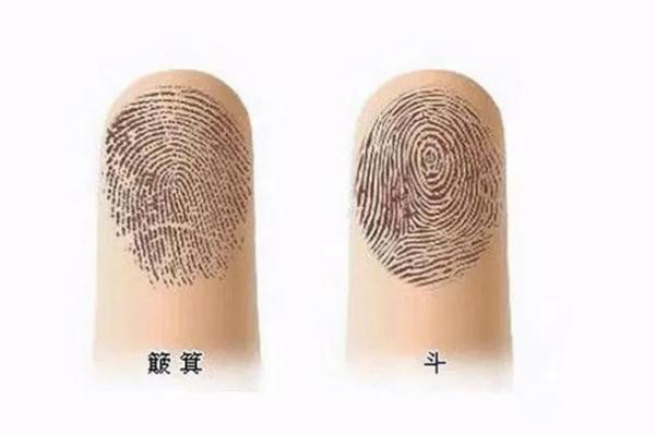 十指簸箕没有斗的命运解读与人生哲学