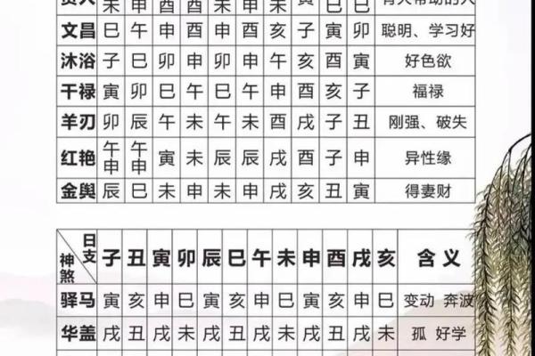 神煞在女命八字中的深刻解析与影响探讨