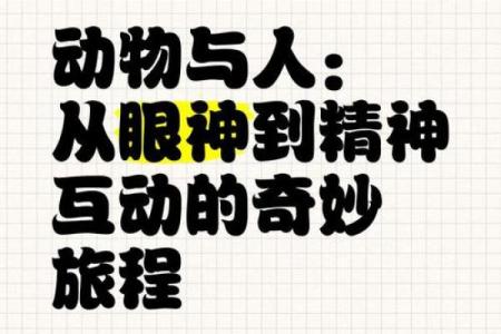 什么属有两条腿的命：探索人类与动物的奇妙联系