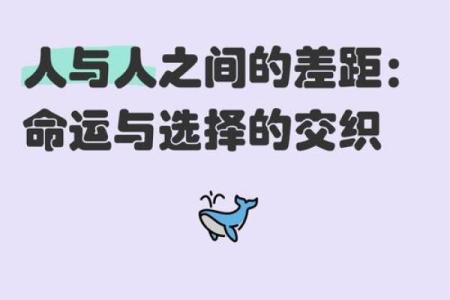 命运的选择：如何通过命理走向仕途的成功之路