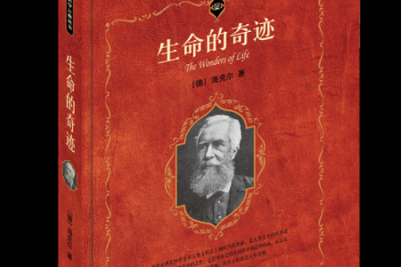 生命的奇迹：探索生命的意义与价值