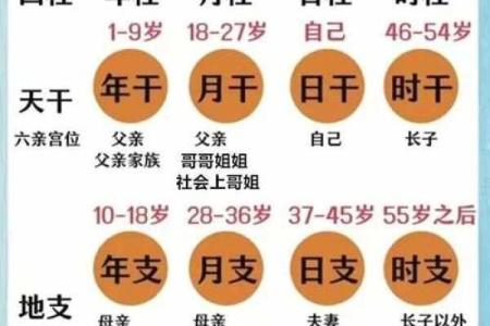 揭秘四柱阴阳：命格中的奥秘与人生走向