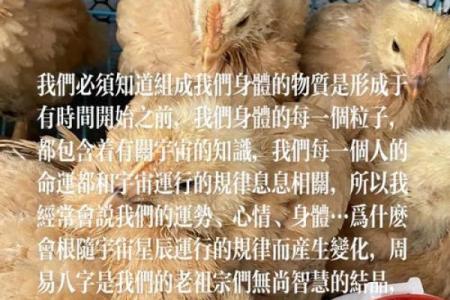 破解命运：以命改命秘法的奥秘与实践