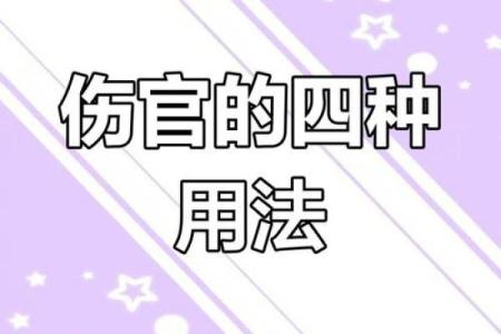 伤官比较重的贵命解读：命理中的潜力与挑战