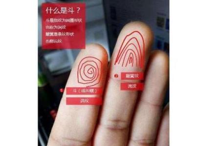 属相与旺夫命的关系探秘，让你找到心中理想伴侣！